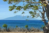 Gaji Pt Macmahon Sumbawa