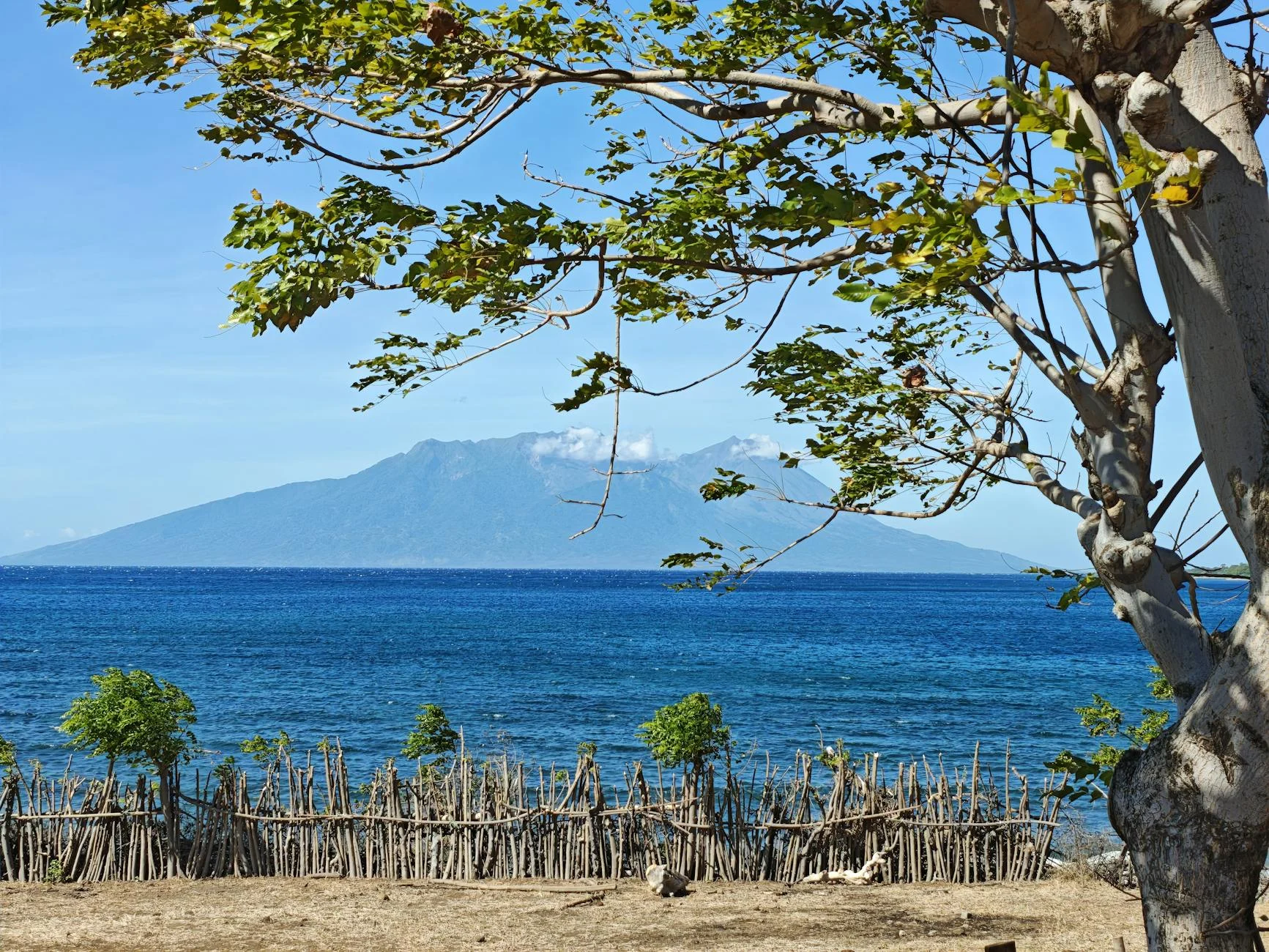 Gaji Pt Macmahon Sumbawa